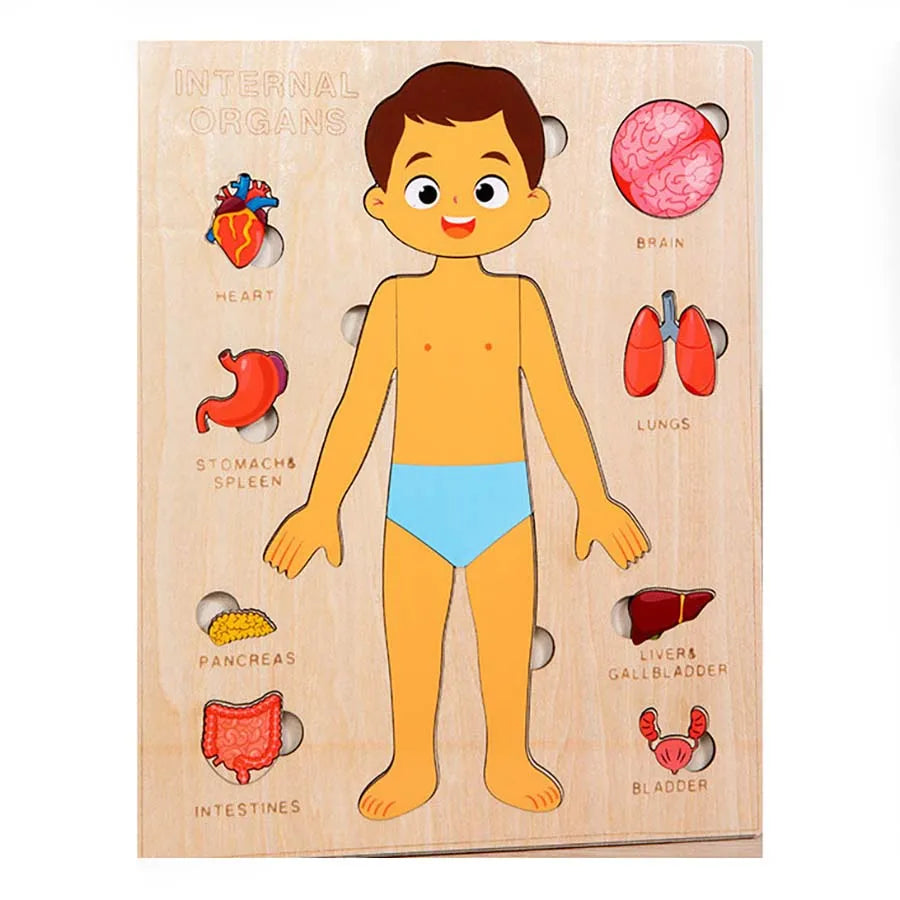 EZ Kids Wooden Montessori Toys Human Body Organs Puzzles Educational Toy Preshool Kindergarten Learning Activities Busy Board