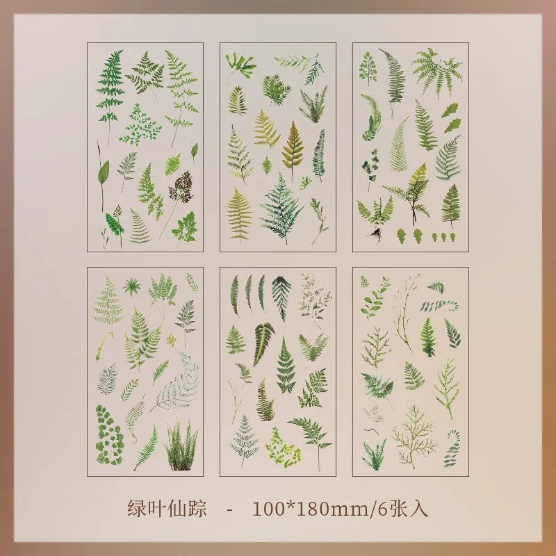 EZ JIANQI 6pcs/pack Transparent PET Stickers Scrapbooking Materials DIY Junk Journal Collage Floral Leaves Plants Decor Stickers