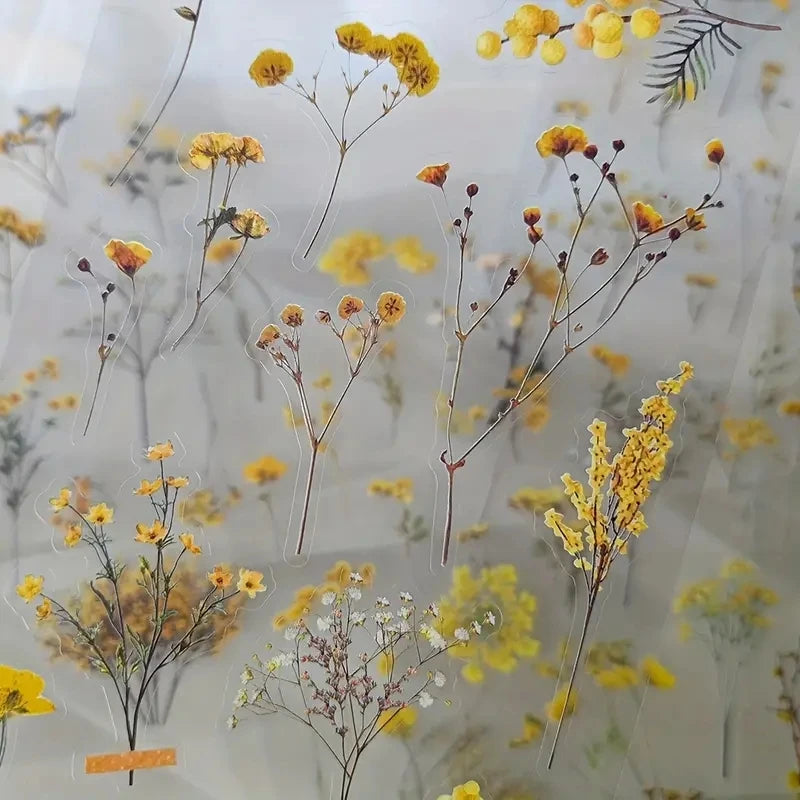 EZ JIANQI 6pcs/pack Transparent PET Stickers Scrapbooking Materials DIY Junk Journal Collage Floral Leaves Plants Decor Stickers