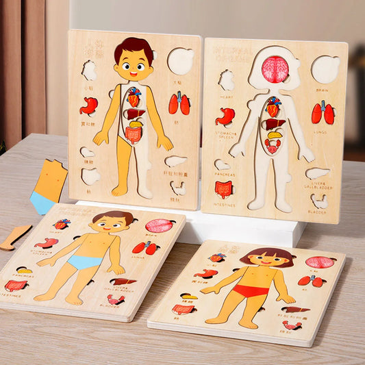 EZ Kids Wooden Montessori Toys Human Body Organs Puzzles Educational Toy Preshool Kindergarten Learning Activities Busy Board