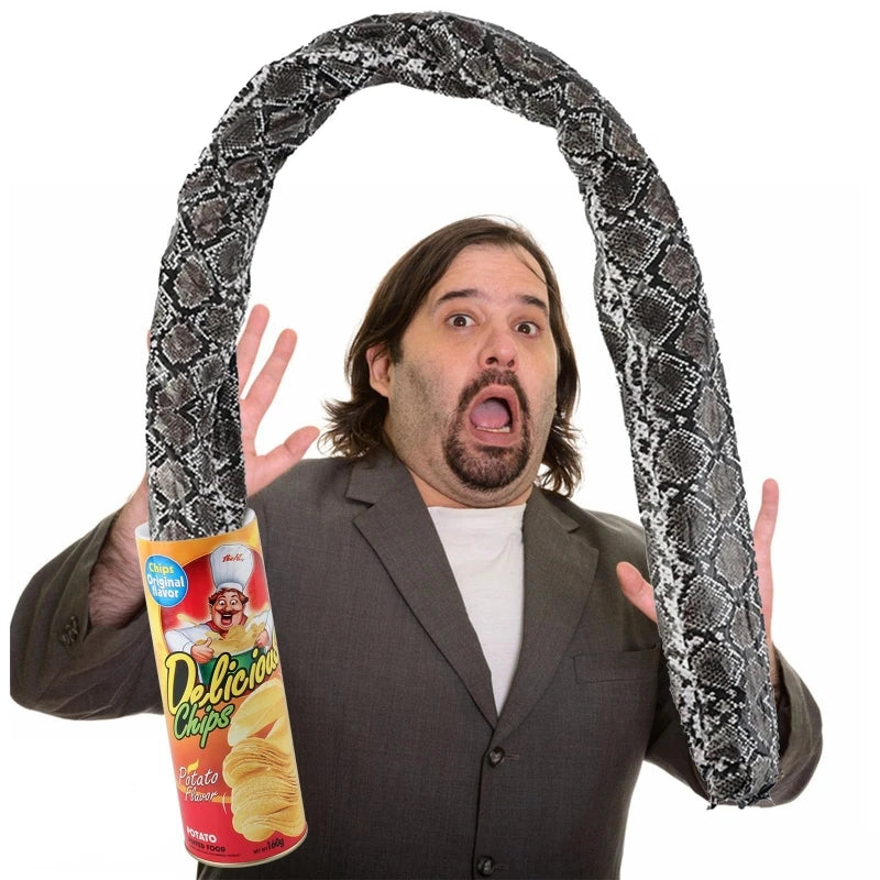 EZ The Potato Chip Snake Can Jump Stage Magic Tricks Spring Snake Toy April Fool Day Halloween Party Jokes in A Can Gag Gift Prank