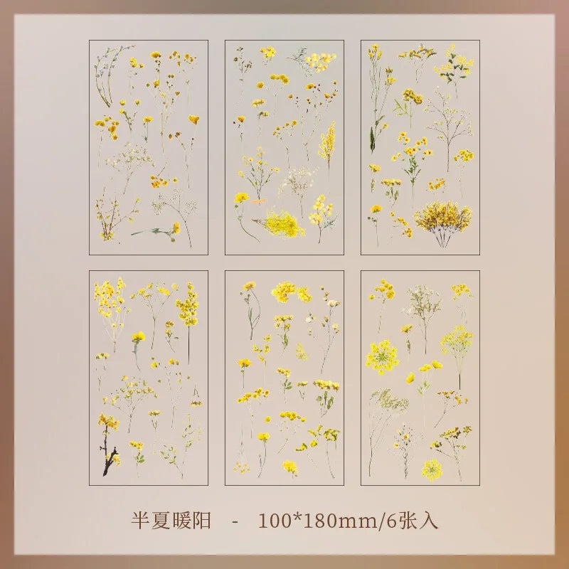 EZ JIANQI 6pcs/pack Transparent PET Stickers Scrapbooking Materials DIY Junk Journal Collage Floral Leaves Plants Decor Stickers