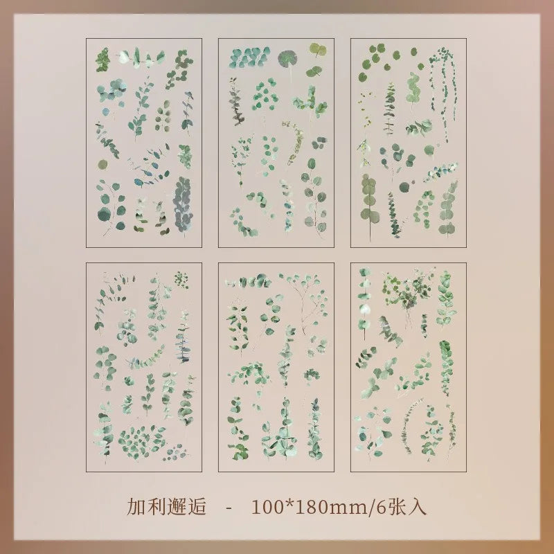 EZ JIANQI 6pcs/pack Transparent PET Stickers Scrapbooking Materials DIY Junk Journal Collage Floral Leaves Plants Decor Stickers
